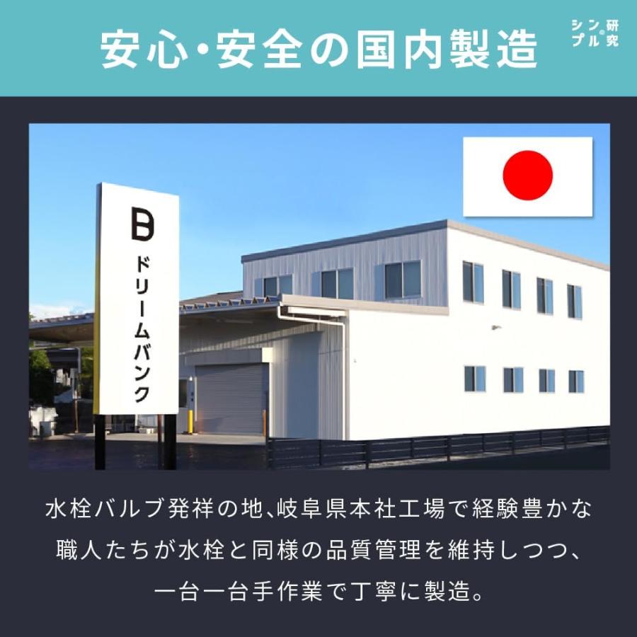 Dream Bank（ドリームバンク） アンダーシンク浄水器 専用水栓付 5年間