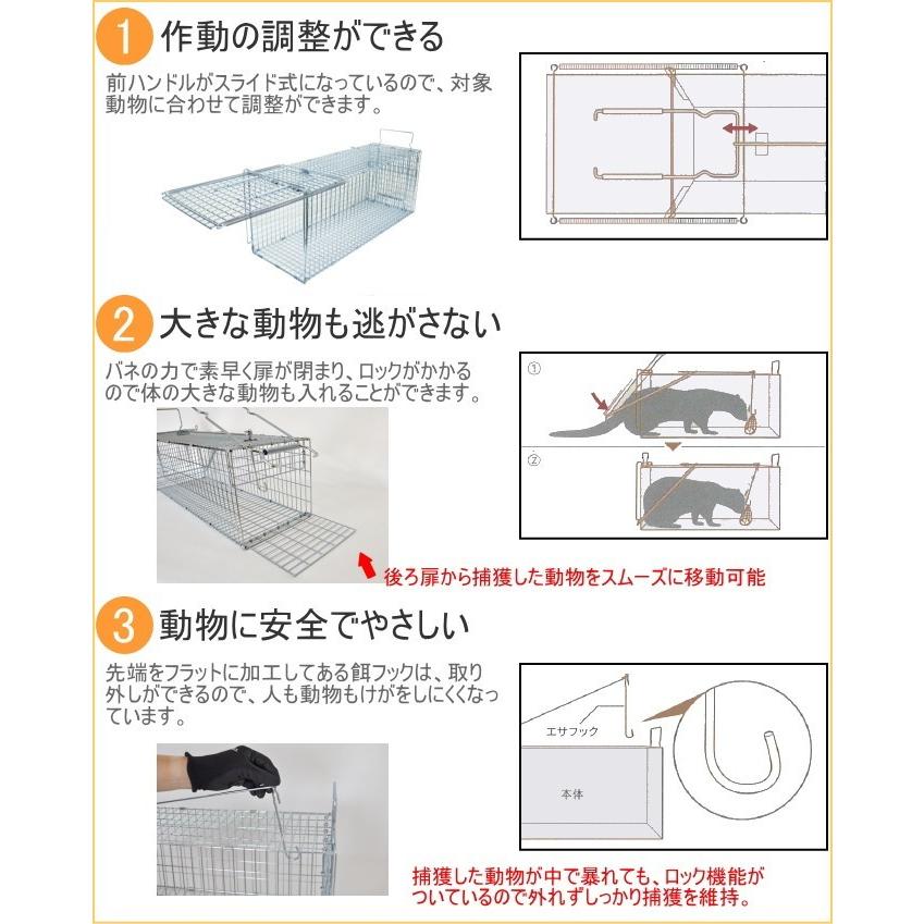 Dタイプ　No402　捕獲器ジャンボ　RB75　AG-2　仕掛　送料無料　ハクビシン　アライグマ　キツネ