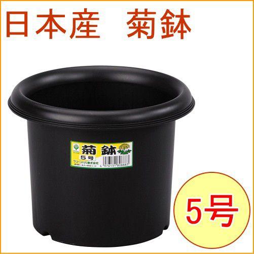 菊鉢 5号 ブラック 40個入 日本製 ケース出荷 園芸 ガーデニング