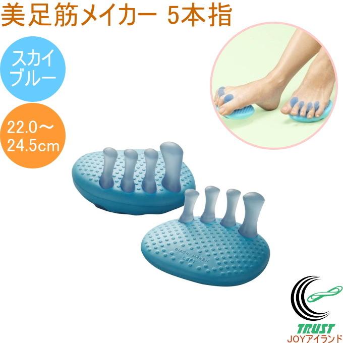 適当な価格 アカイシ 美足筋MAKER5本指 スカイブルー フリーサイズ 22.0cm〜24.5cm 美尻 美脚 エクササイズ 健康サンダル 健康衣類 アクセサリー アカイシ 美足筋MAKER5本指 スカイブルー フリーサイズ 22.0cm〜24.5cm 美尻 美脚 エクササイズ 健康サンダル 健康衣類 アクセサリー