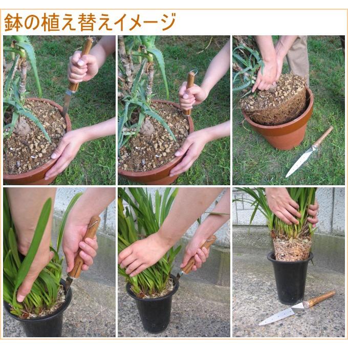 植え替え名人S 350 No1201 日本製 園芸 ガーデン ガーデニング 植え替え名人S 350 No1201 日本製 園芸 ガーデン ガーデニング