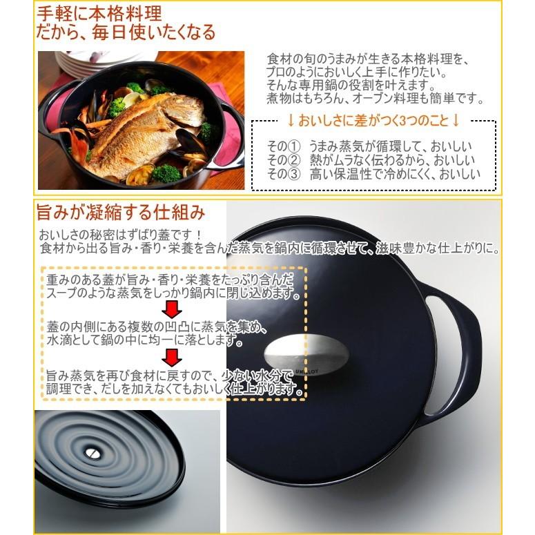UNILLOY（ユニロイ） キャセロール20cm EC-2000 送料無料 日本製 IH