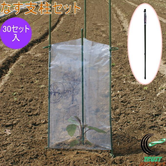 なす支柱セット 30セット入 園芸 園芸用小物 菜園 農業用資材 支柱 園芸用支柱 栽培 家庭菜園 畑 農業 果物 野菜 なす ナス ケース出荷 Eggplant Pole Set Kanetake Joyアイランド 通販 Yahoo ショッピング