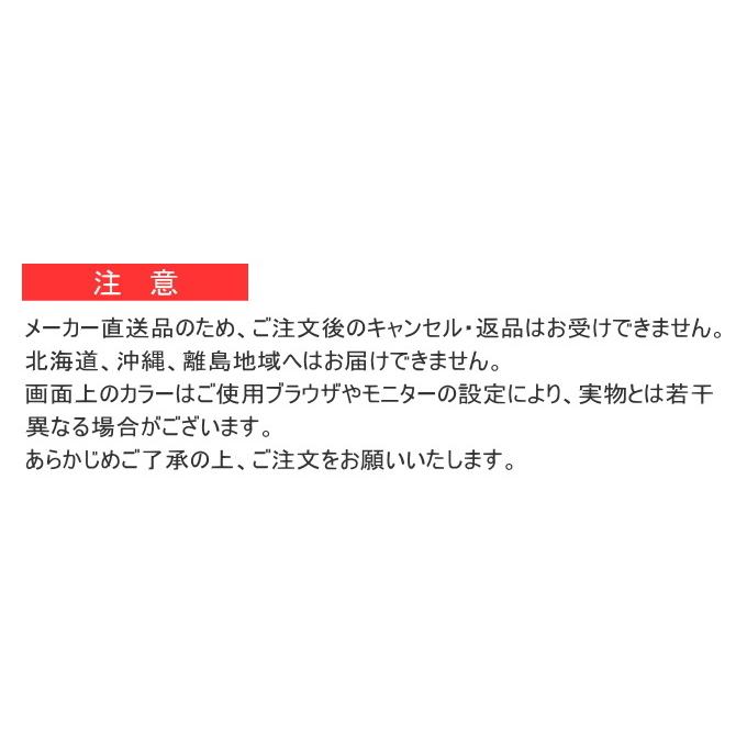 日本製のこたつ用敷布団 モデルノ 撥水加工タイプ 正方形 190×190cm 送料無料 日本製 おしゃれ こたつ敷き 保温 あったか 洗濯不可