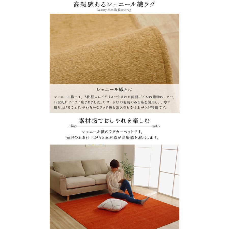 イケヒコ 洗える撥水加工ラグ モデルノ 3畳 200×250cm 送料無料 ラグ
