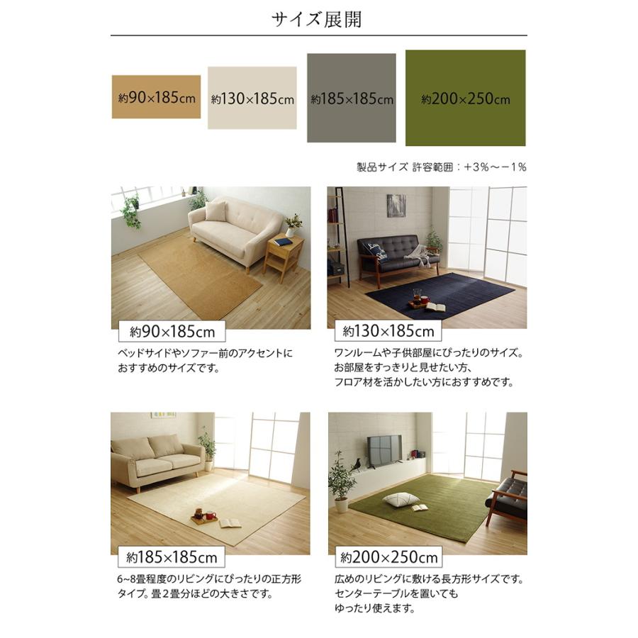 イケヒコ 洗える撥水加工ラグ モデルノ 1畳 90×185cm 送料無料 ラグ 撥