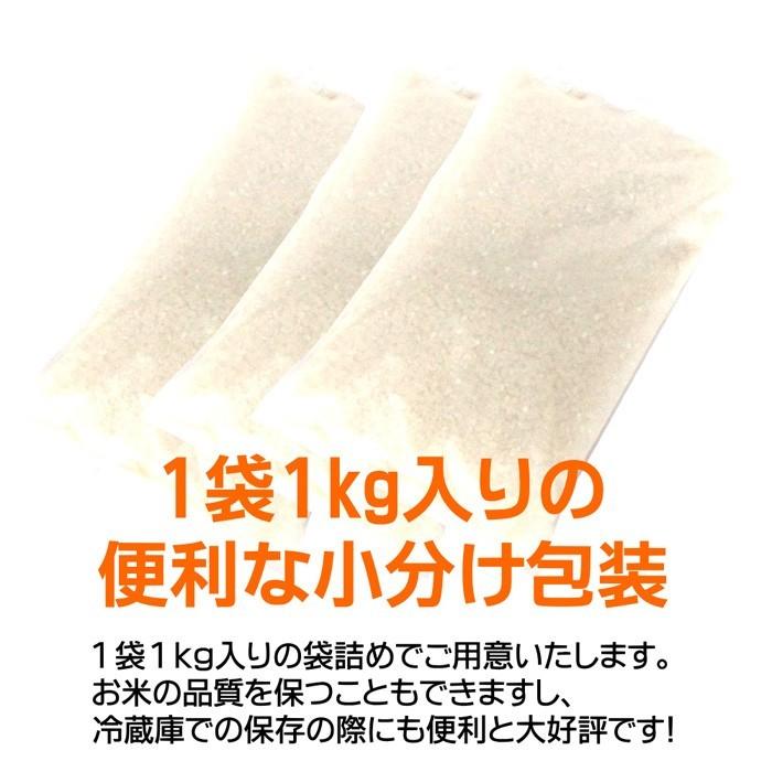 コシヒカリ 新潟コシヒカリ 玄米 2kg(1kg×2袋)/新米 令和6年産 コシヒカリ 新潟コシヒカリ 玄米 2kg(1kg×2袋)/新米 令和6年産