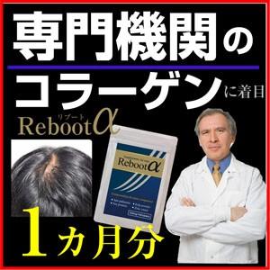 人気が高い サプリメント ノコギリヤシ 亜鉛 サプリメント ケラチン サプリ リブートa 送料無料 最安値 Www Technet 21 Org