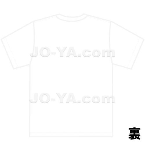 BOSCH（ボッシュ） メッシュ Tシャツ ホワイト Lサイズ SP-TS15/CT15