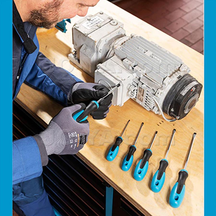 HAZET（ハゼット） 810/6 ドライバーセット6本組 ( 6pcs ) : JO-YA.com