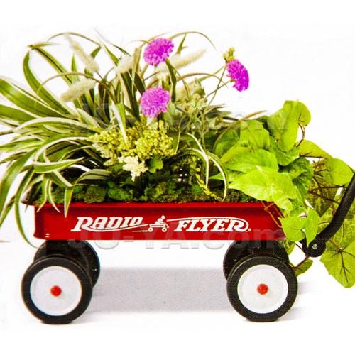 RADIO FLYER (ラジオフライヤー) マイ ファーストワゴン MY 1ST WAGON ラジオフライヤー マイ ファーストワゴン&ミニチュアワゴン｜joyacom｜05