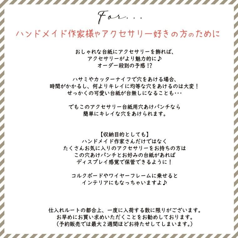 穴あけパンチ 横長 穴あきパンチ クラフトパンチ ハンドメイド イヤリング アクセサリー台紙 Y Kw Trio And Monotone Yahoo 店 通販 Yahoo ショッピング