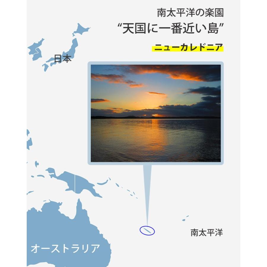 カンジャンセウジャン エビ10尾　韓国の人気お店「コルモクケジャン」の日本製造 セウジャン エビ 韓国料理 JOYFOOD｜joyfood｜09