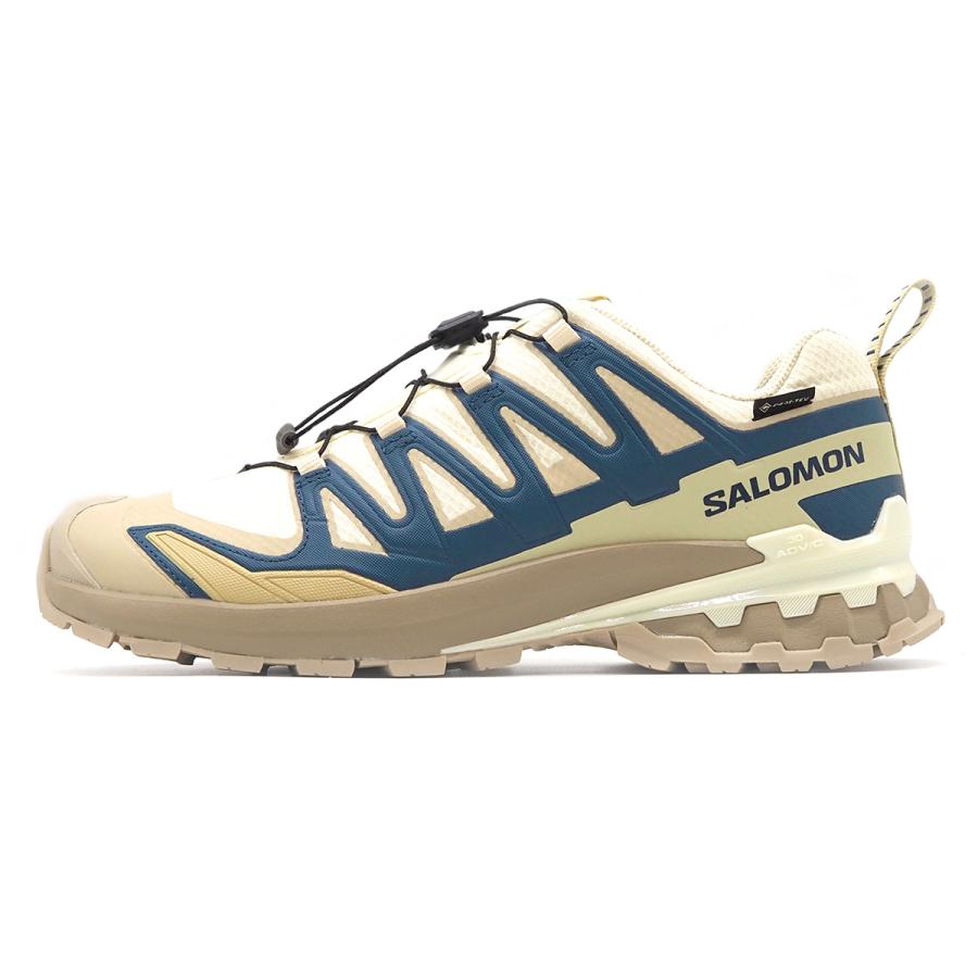 SALOMON（サロモン） エックスエー プロ 3D V9 ゴアテックス メンズ