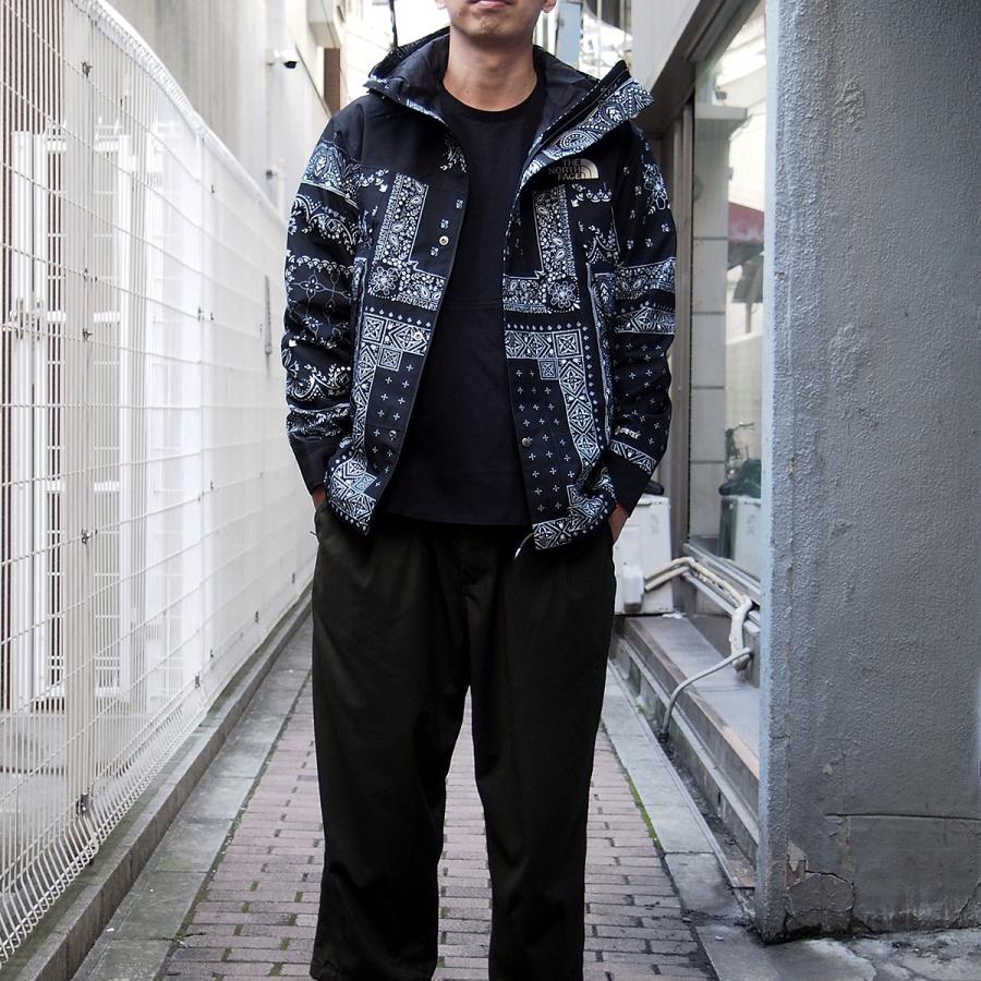 ザ ノースフェイス ノベルティ ゴアテックス マウンテン ジャケット ザ ノースフェイス ノベルティ ゴアテックス マウンテン ジャケット