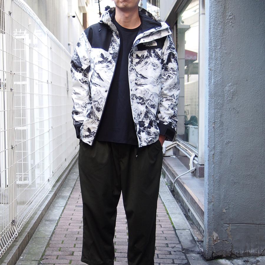 THE NORTH FACE ザ ノースフェイス ノベルティ ゴアテックス THE NORTH FACE ザ ノースフェイス ノベルティ ゴアテックス