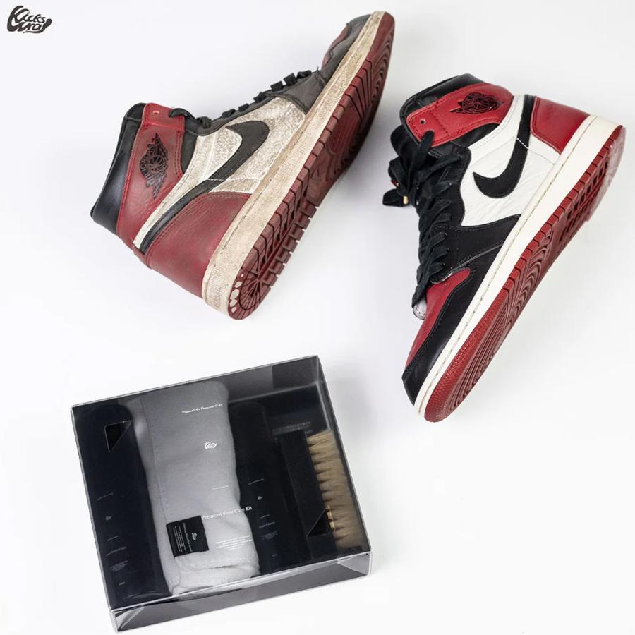 KicksWrap（キックスラップ） プレミアム シューケア キット レザー