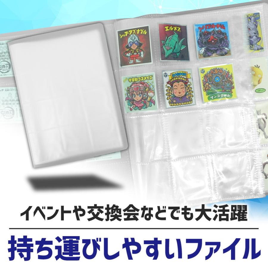 ポイント10倍】 【大きいサイズも対応】 コレクションシール チョコ