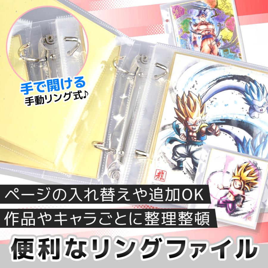 ポイント10倍】 【推し活ファイル】 ミニ色紙 収納 ミニ色紙収納