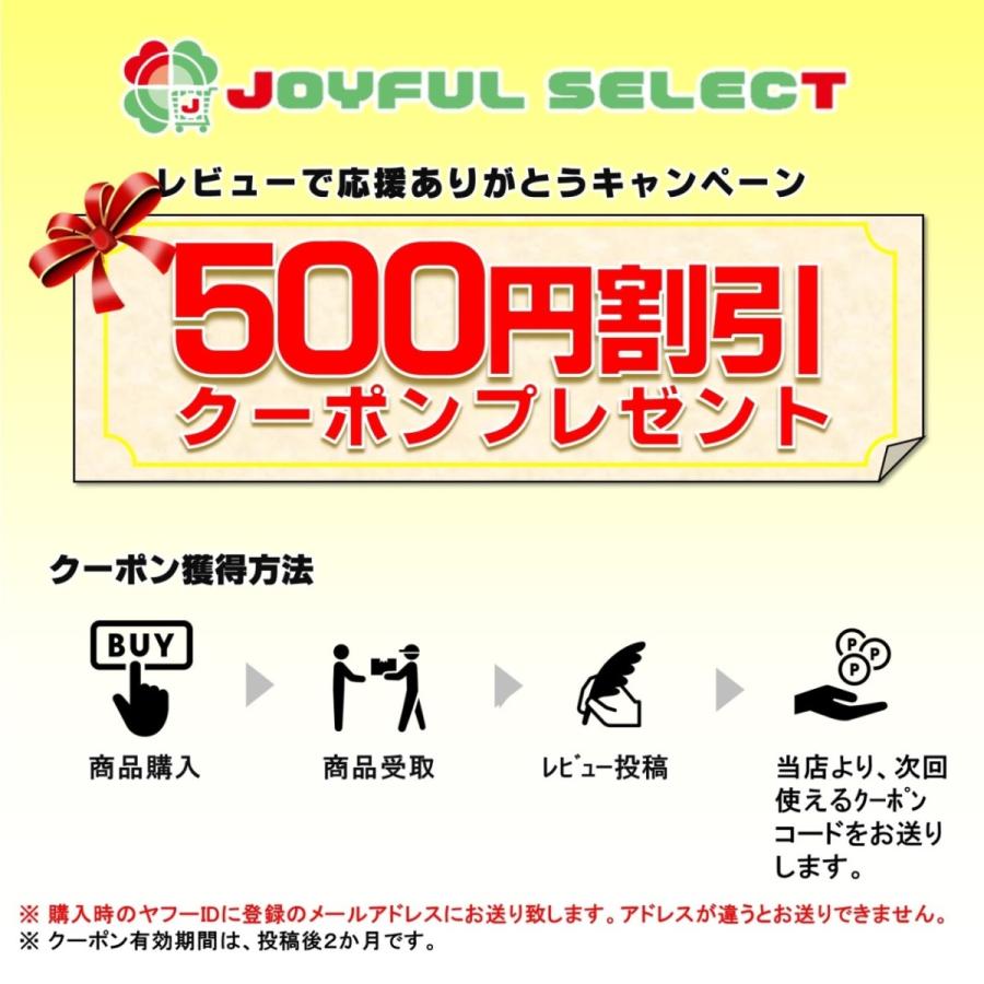 仏像 大日三尊 不動明王 大日如来 弘法大師 三開仏 木彫 コンパクト ツゲ No5 オブジェ 誕生日 お祝い 巾着ポーチ付き 高さ10cm 置物