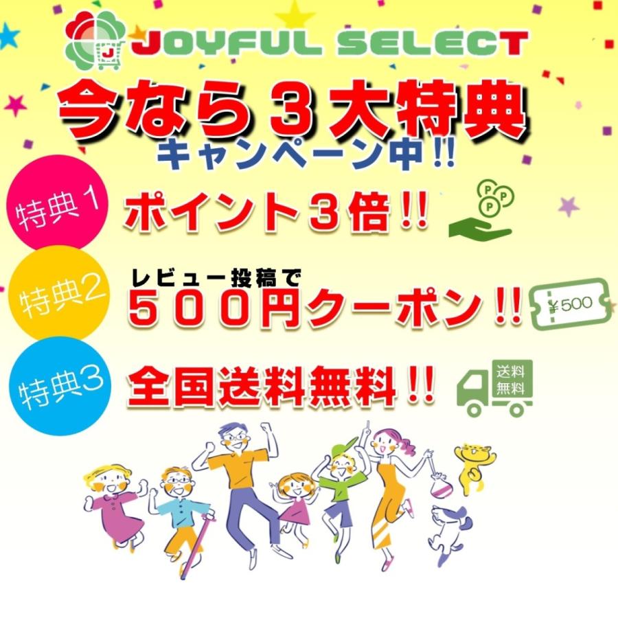 普賢菩薩 送料無料 十二支守り本尊  お守り 辰年生 巳年生 たつどし みどし 4月生 5月生 天然香木 崖柏木 仏像  ミニ 巾着付き 004｜joyful-select｜09