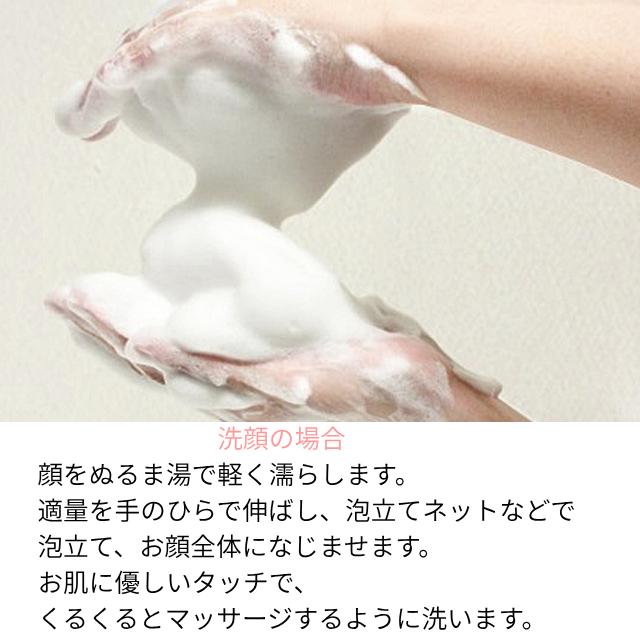 ボディソープ 全身ソープ シャンプー 美肌 石けん 480ml ボトル 保湿