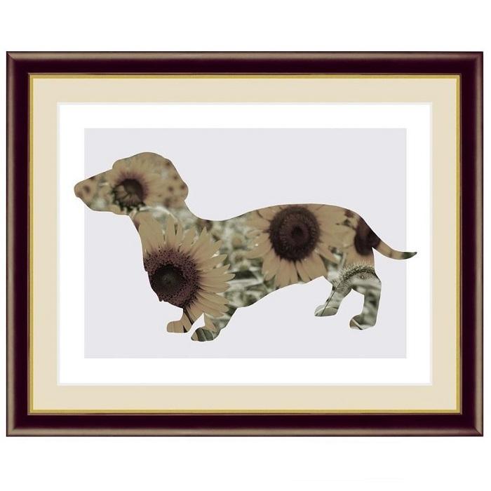 Rakuten アート額絵 Sun Flower Dog 作 山口 美咲 F4サイズ 額飾り 42 34cm G4 Cj003 上質で快適 Turningheadskennel Com
