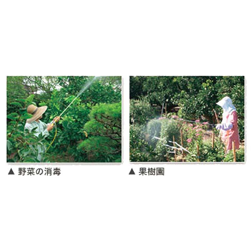 工進（KOSHIN） エンジン動噴 MS-ERH25TH85 4サイクル 小型 動力噴霧器