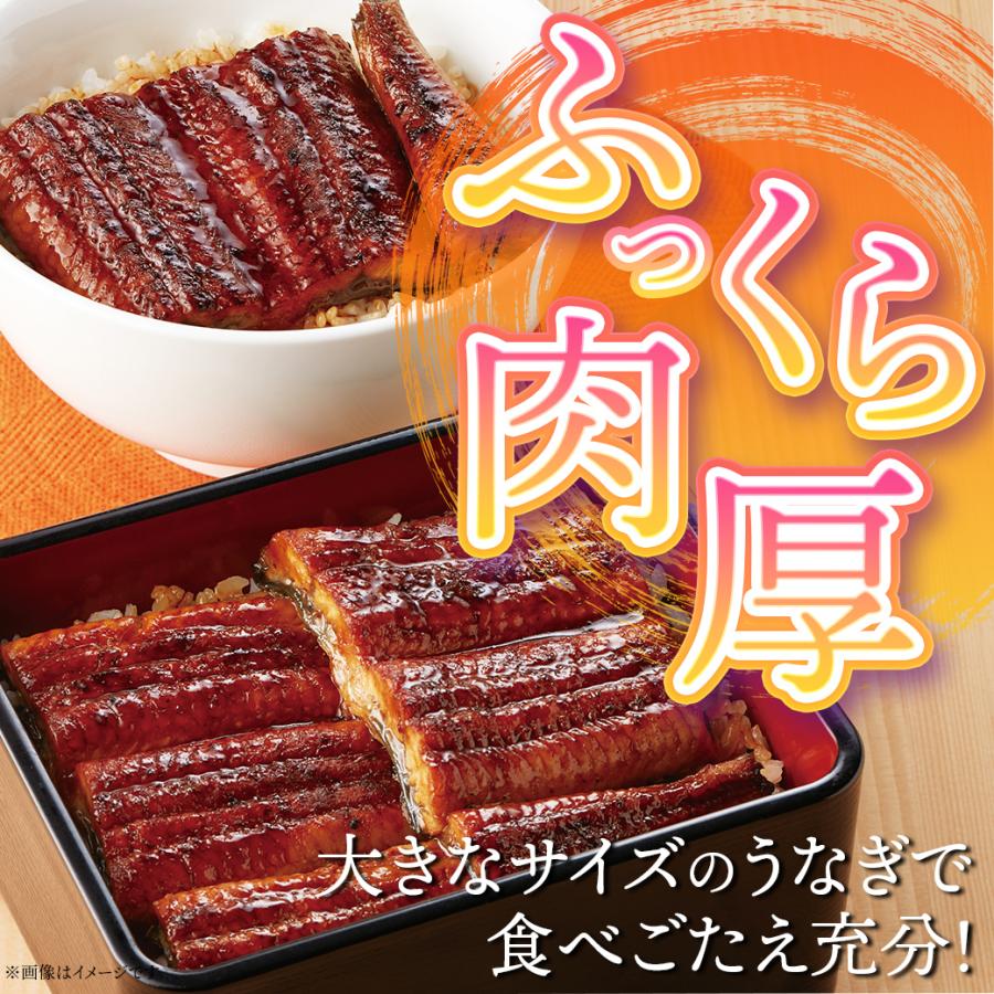 冷凍食品 取り寄せ ギフト ジョイフルのうなぎの蒲焼（たれ付き）20食入り 送料無料 | Joyfull | 03