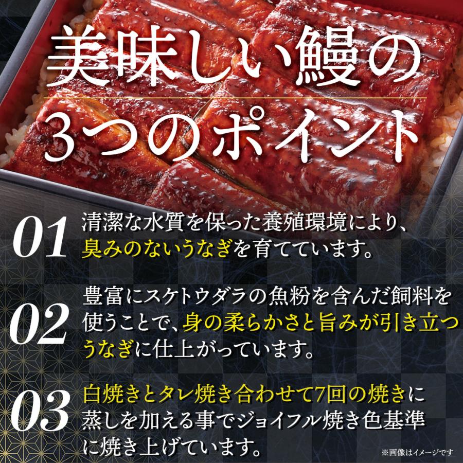 冷凍食品 取り寄せ ギフト ジョイフルのうなぎの蒲焼（たれ付き）20食入り 送料無料 | Joyfull | 05