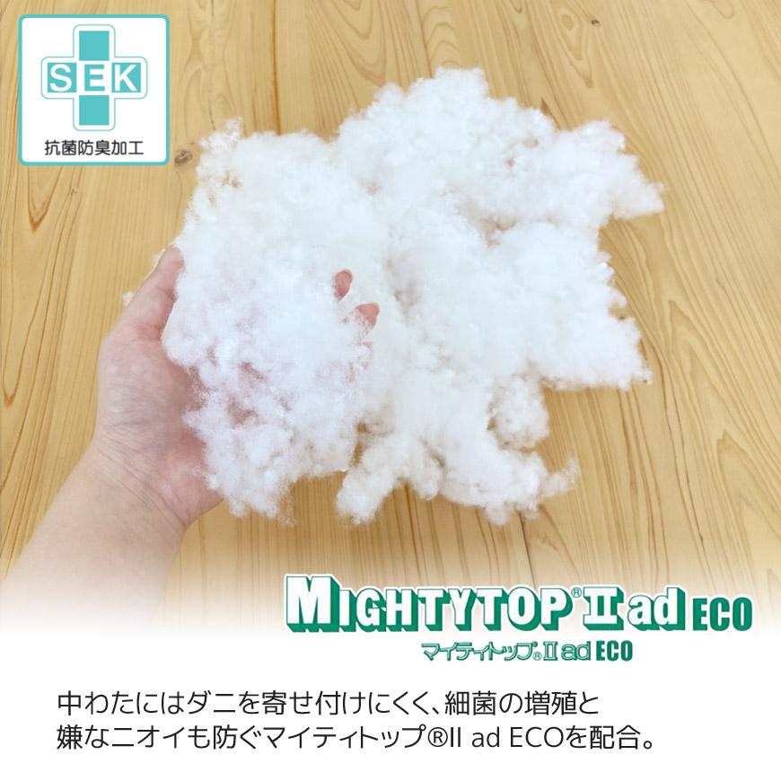 日本製 防ダニ 抗菌防臭 背当ヌードクッション 2個セット 50×50cm