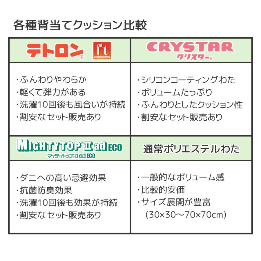 日本製 防ダニ 抗菌防臭 背当ヌードクッション 2個セット 50×50cm