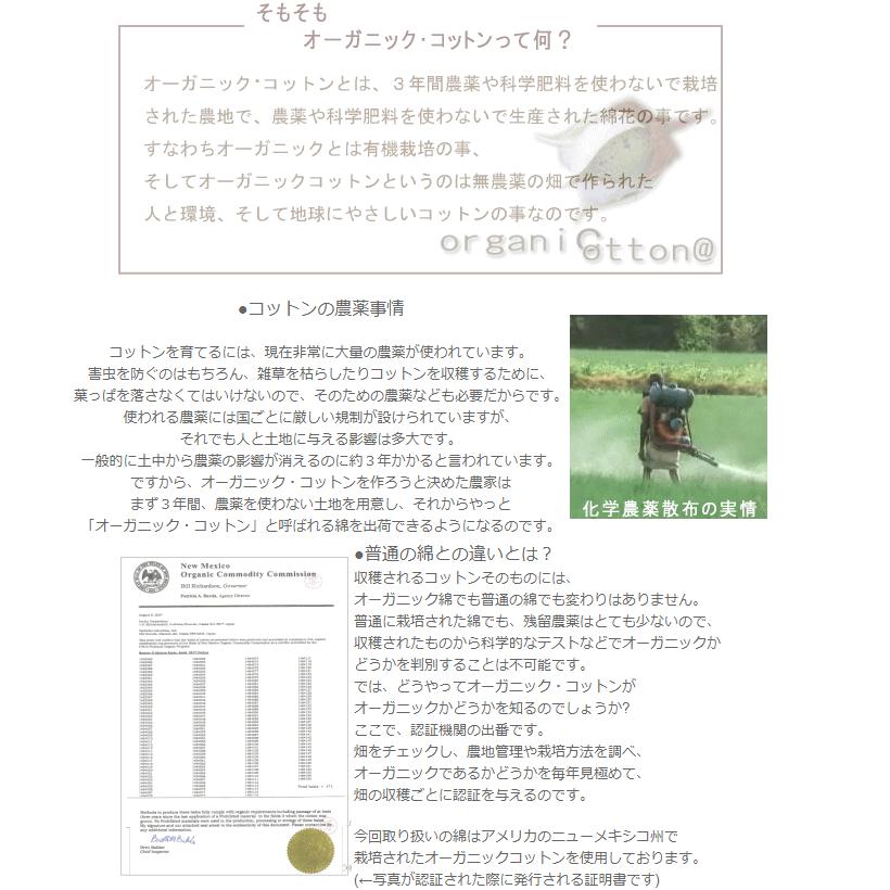 日本製 ガーゼマスク オーガニックコットン 選べる 2枚組み ダブルガーゼ 洗える 送料無料 小さめ 子供 おしゃれ 可愛い 日本郵便 値下げ 花粉症対策｜joyfull｜02