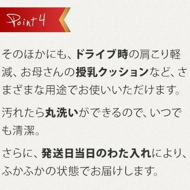 授乳クッション らくらくu字型クッション オックス 発送当日にわた入れ加工 首枕 腰枕 読書 ゲーム 国産 日本製 丸洗い かわいい おしゃれ Rakurakuokkusu クッション工場 抱き枕 長座布団 通販 Yahoo ショッピング