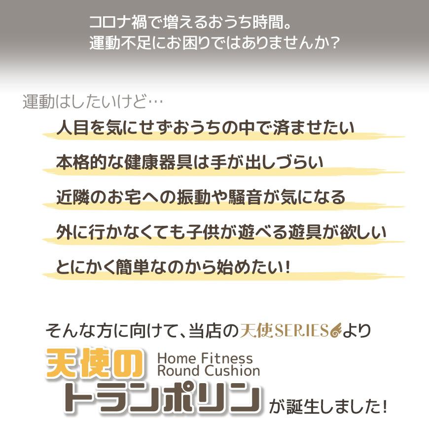 天使のトランポリン クッション 日本製 カバー脱着式 洗える