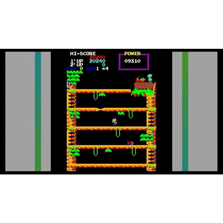 SNK 40th Aniversary Collection (輸入版）PS4 日本語対応 [video game