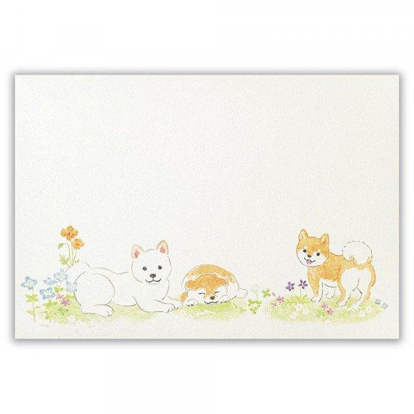 柴犬 封筒 わんころび 横書き 郵便番号枠なし 和紙 エヌビー社 犬雑貨