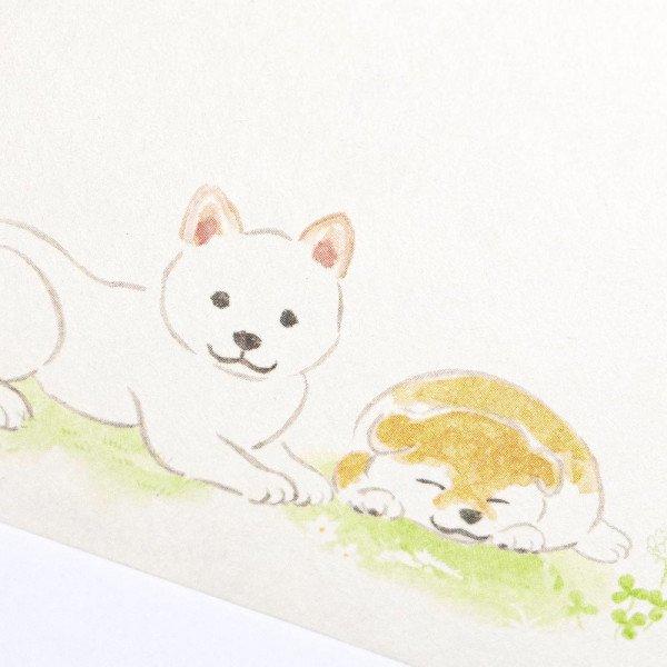 柴犬 封筒 わんころび 横書き 郵便番号枠なし 和紙 エヌビー社 犬雑貨