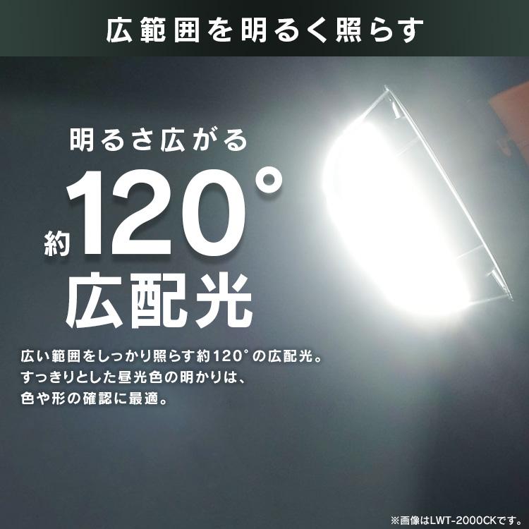 IRIS OHYAMA（アイリスオーヤマ） 5500lm LED電球 交換電球 投光器 LED