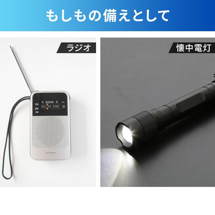 乾電池 単3 単三電池 アルカリ 電池 100本 セット 5年保存 アルカリ乾電池 パック まとめ買い 防災 災害 アイリスオーヤマ LR6Bba/100SET * | IRIS OHYAMA | 02