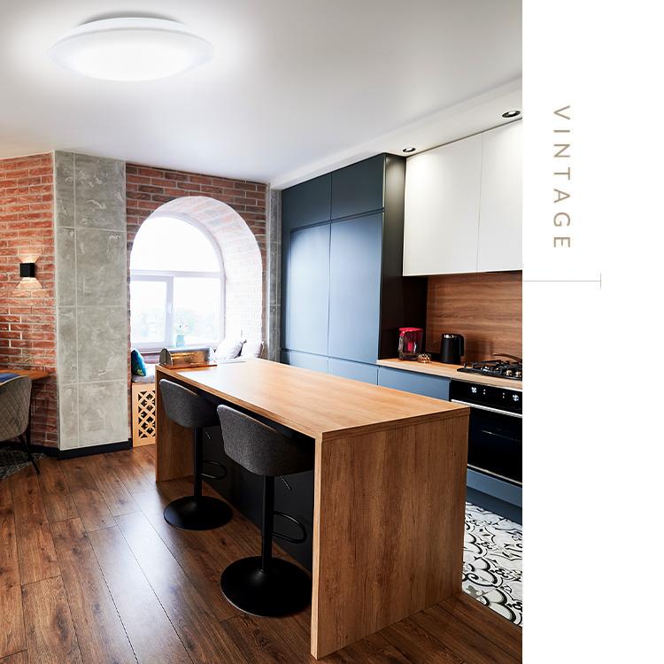 シーリングライト LED 8畳 LEDシーリングライト  アイリスオーヤマ リビング照明 照明 5.0Qシリーズ 調光 プレーン 2個セット CEA8D-5.0Q | IRIS OHYAMA | 12