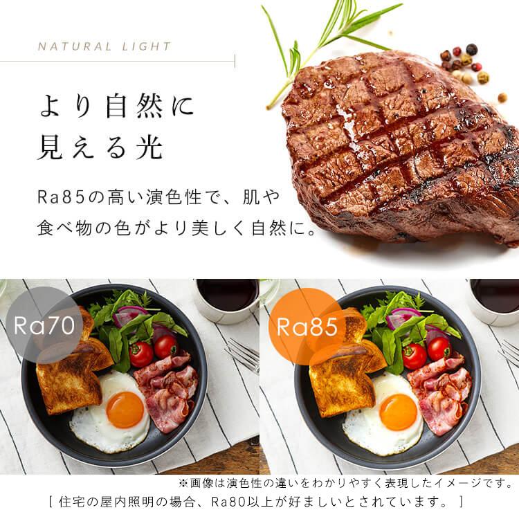 シーリングライト LED 8畳 LEDシーリングライト  アイリスオーヤマ リビング照明 照明 5.0Qシリーズ 調光 プレーン 2個セット CEA8D-5.0Q | IRIS OHYAMA | 09