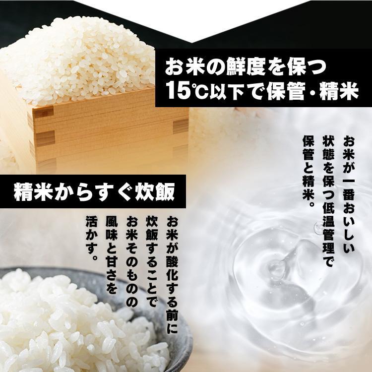 パックご飯 大盛 レトルトご飯 特盛 300g 30食 ご飯パック パックごはん 低温製法米 備蓄 非常食 アイリスオーヤマ アイリスフーズ * | IRIS OHYAMA | 07