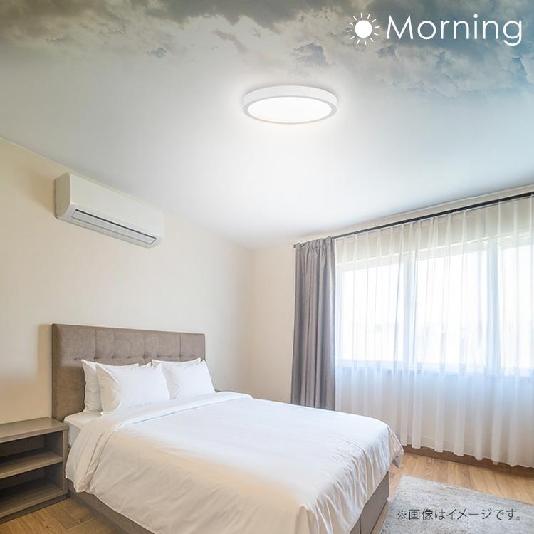 IRIS OHYAMA（アイリスオーヤマ） シーリングライト led 8畳 北欧 led