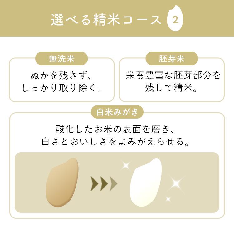 精米機 家庭用 アイリスオーヤマ 5合 かくはん式 5合連続精米 3分 5分 7分 胚芽米 白米 無洗米 41銘柄対応 お手入れ簡単 精米器 RCI-C5 * | IRIS OHYAMA | 06