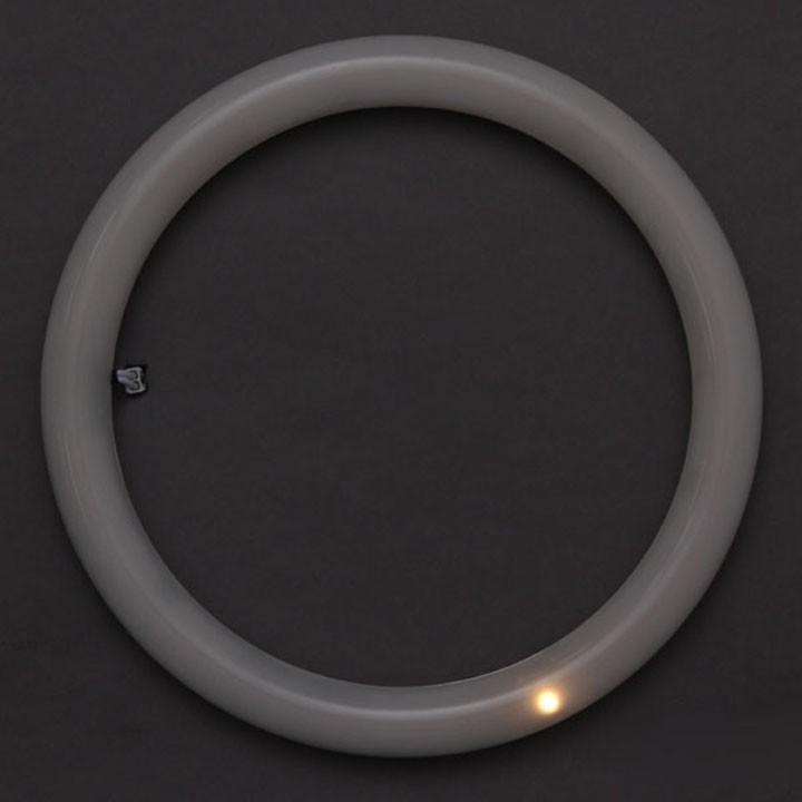 IRIS OHYAMA（アイリスオーヤマ） LED蛍光灯 丸型 丸形 LEDランプ 30形