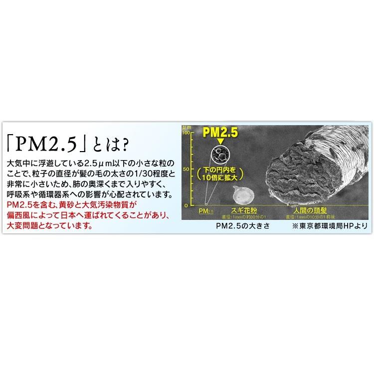 空気清浄機 25畳 清潔 綺麗 PM2.5  花粉 消臭効果 ハウスダスト対策 ほこり 脱臭 アイリスオーヤマ PMMS-DC100｜joylight｜05