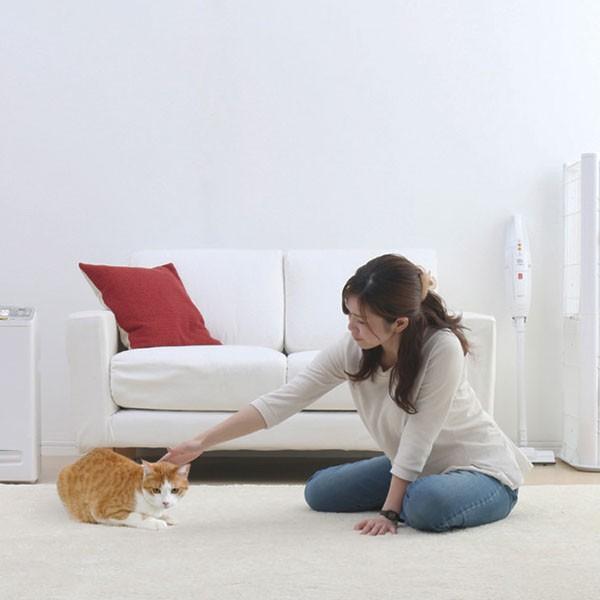 IRIS OHYAMA（アイリスオーヤマ） 掃除機 ペット用 超軽量スティック