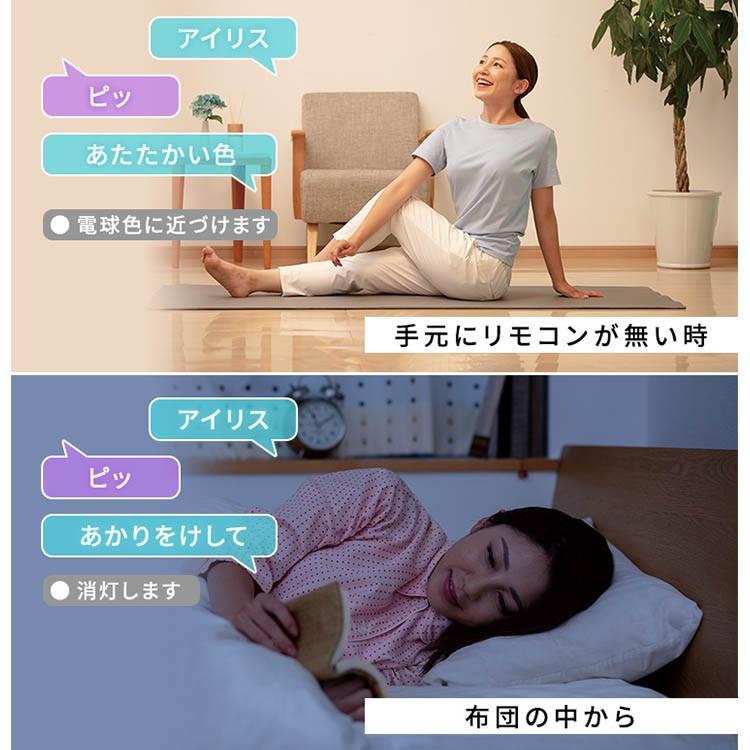 シーリングライト LED 12畳 照明 おしゃれ 音声操作 調光 調色 LEDシーリングライト 天井  スピーカー アイリスオーヤマ CL12DL-6.1V | IRIS OHYAMA | 03