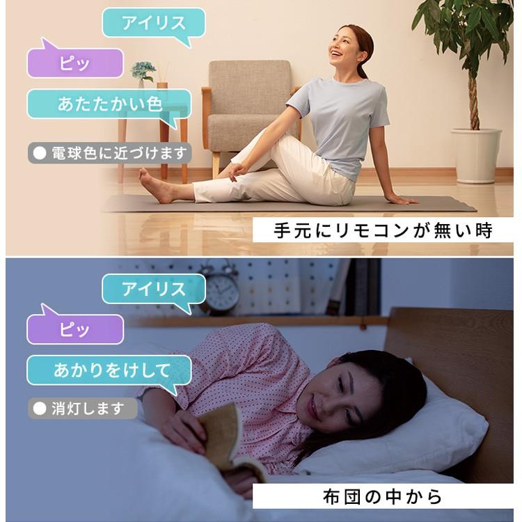 シーリングライト LED 6畳 照明 おしゃれ 音声操作 調光 調色 LEDシーリングライト 天井  スピーカー CL6DL-5.11V アイリスオーヤマ | IRIS OHYAMA | 03